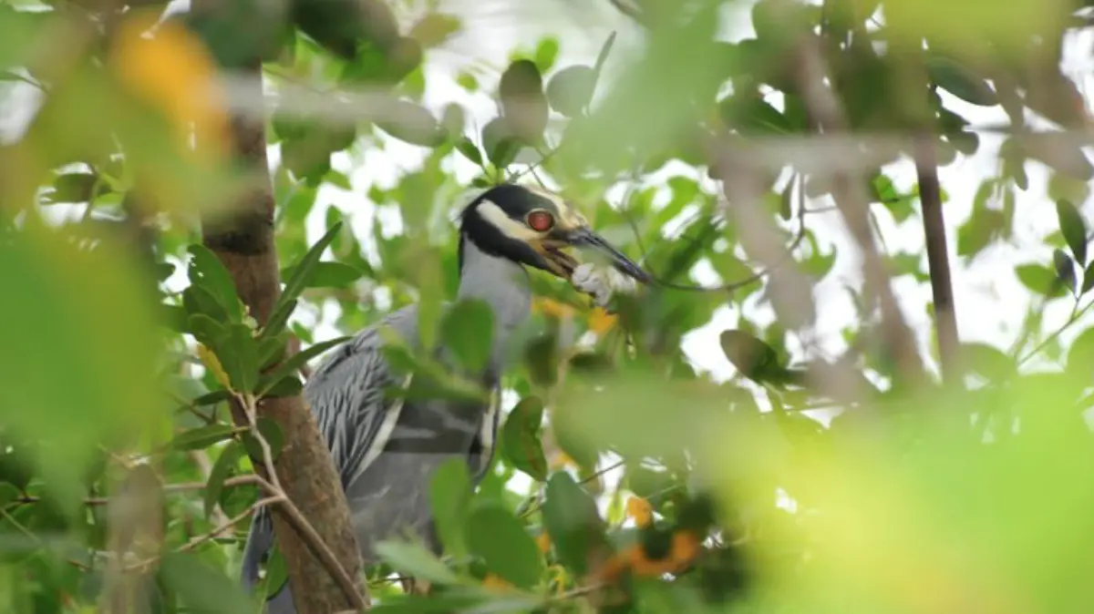 Captura de pantalla 2019-07-25 a la(s) 22.25.26
