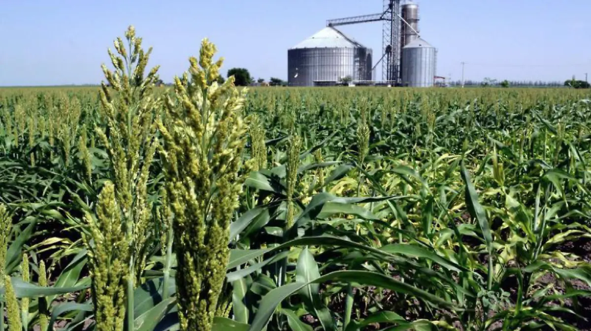 Captura de Pantalla 2019-05-17 a la(s) 13.29.42