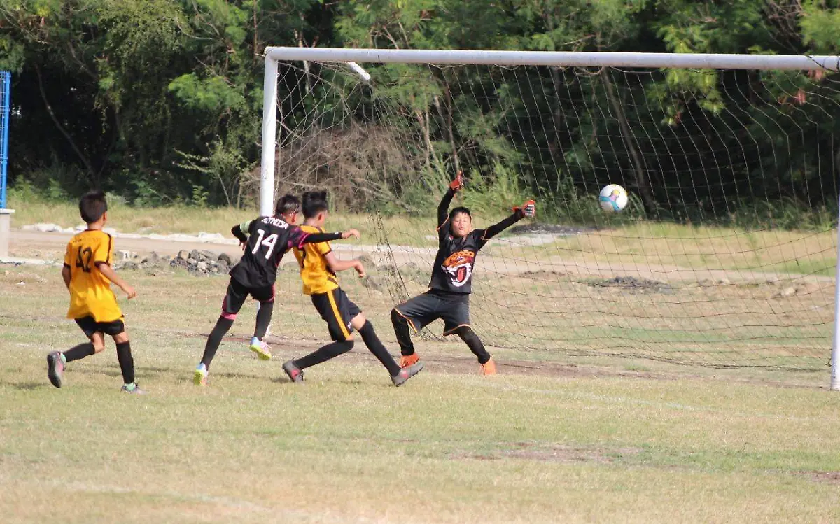 WhatsApp Image 2021-08-14 at 2.46.12 PM