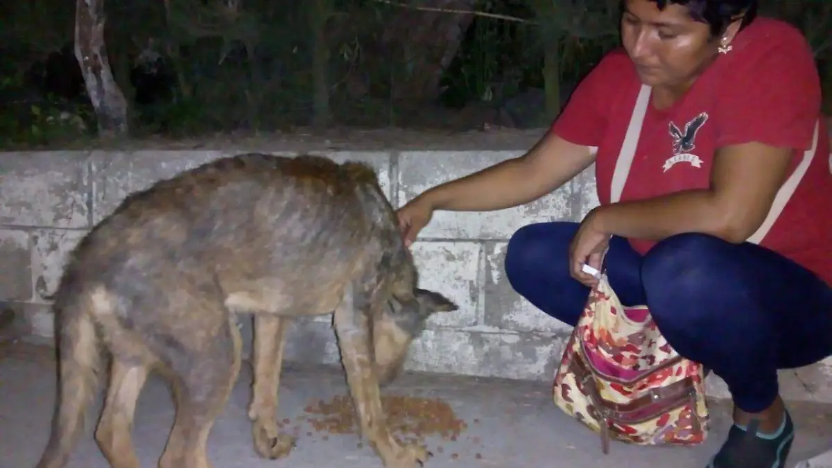 Image 2020-04-08 at 9.16.24 AM