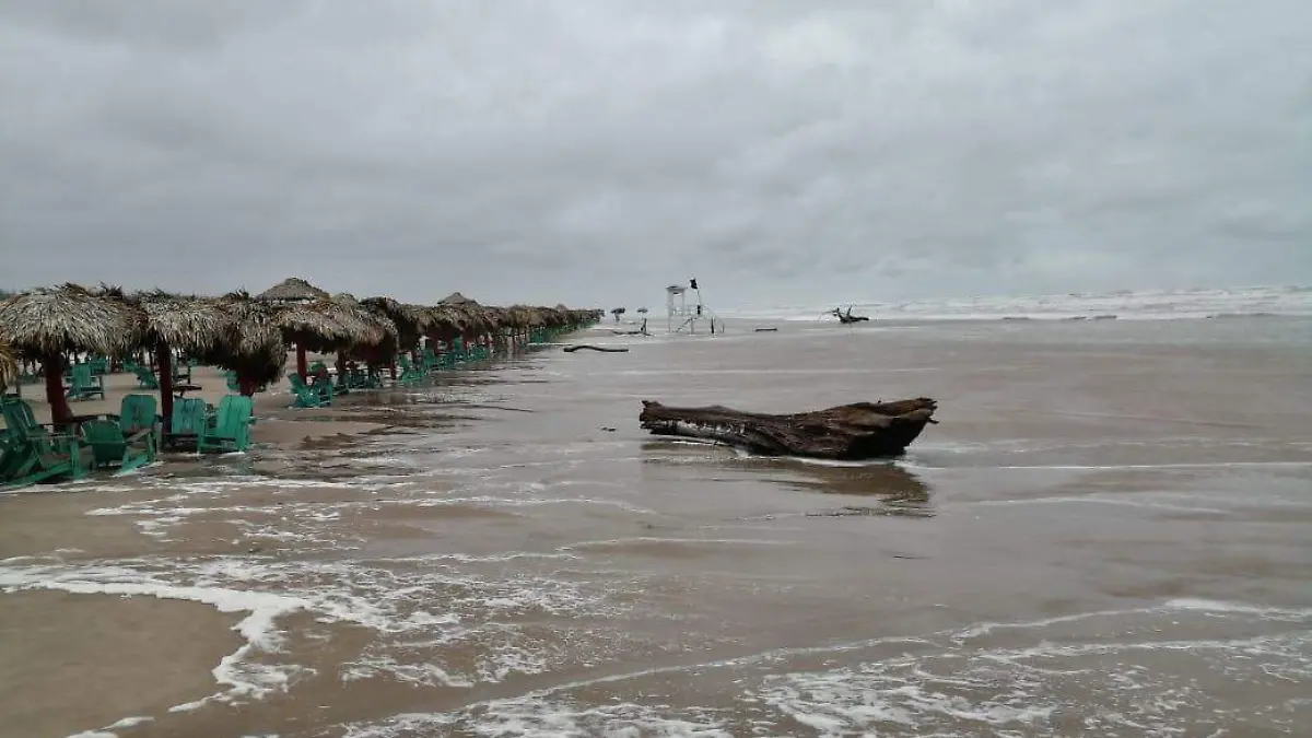 WhatsApp Image 2019-11-12 at 12.53.57 PM