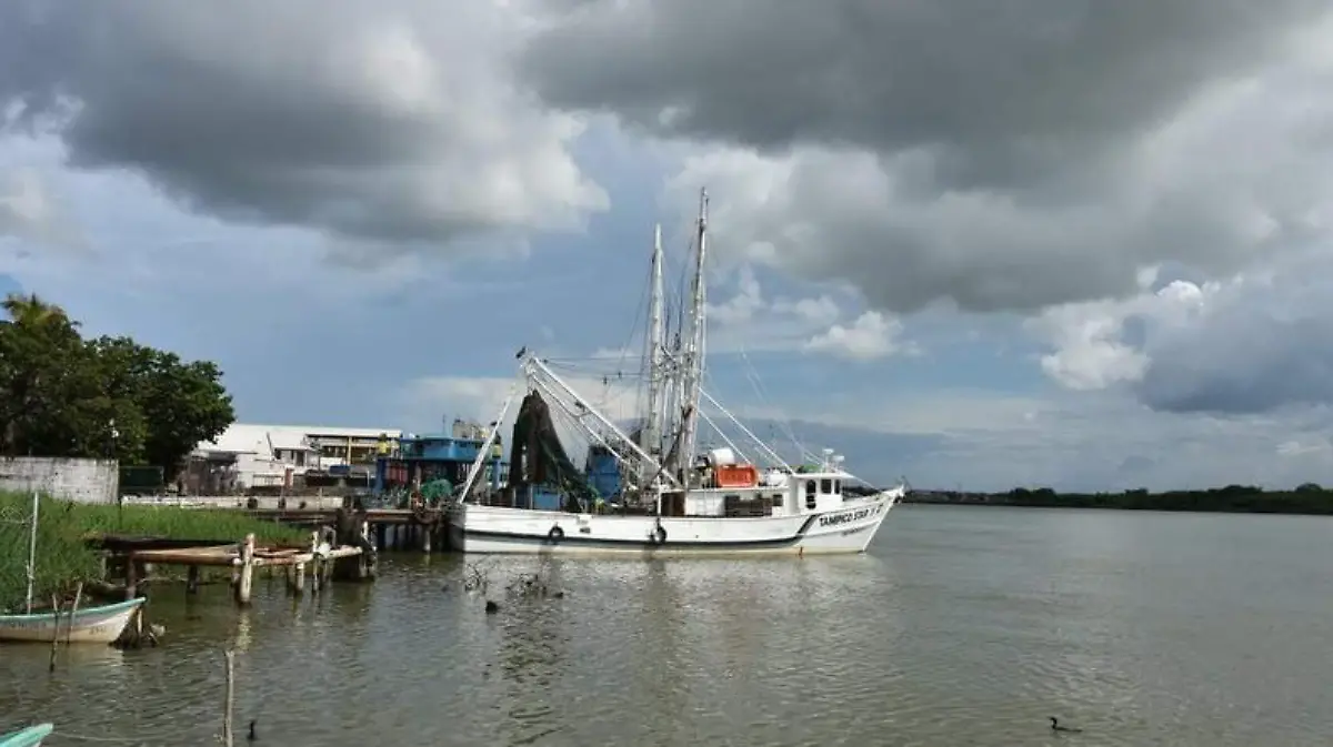 Captura de pantalla 2018-10-03 a la(s) 20.50.28