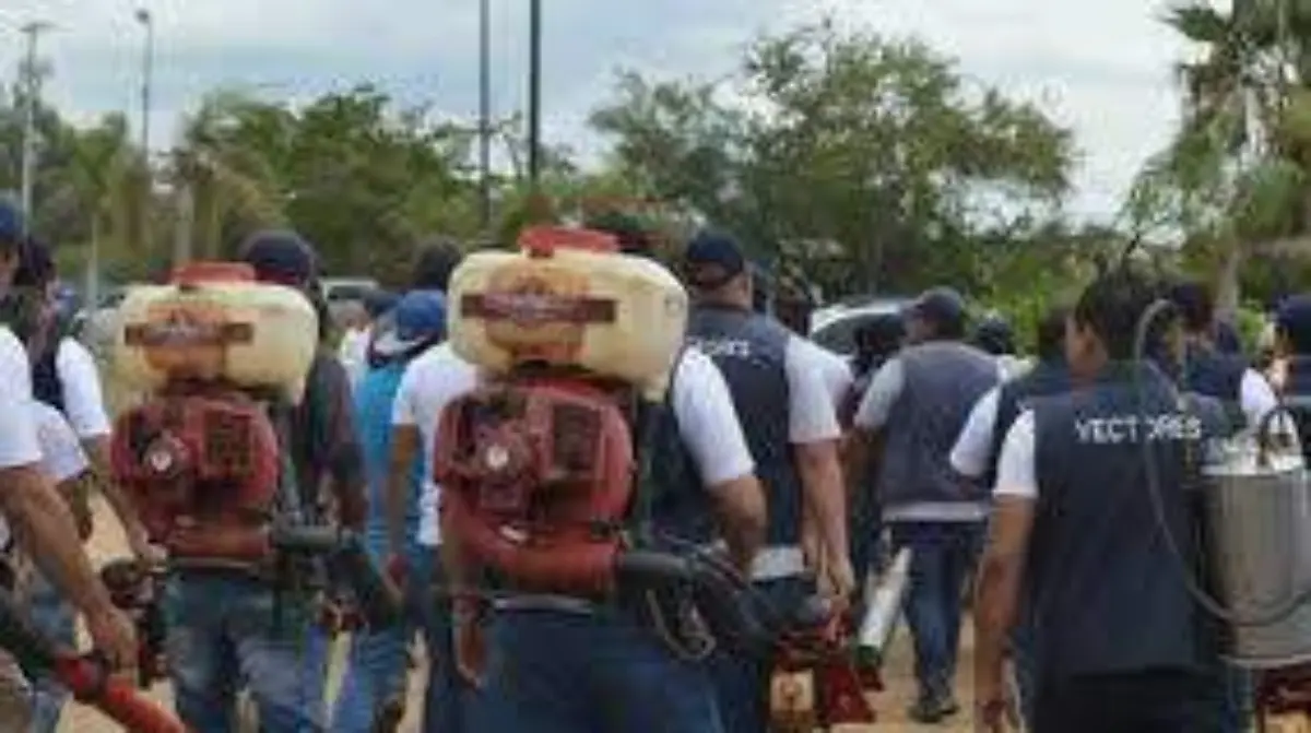 WhatsApp Image 2020-09-27 at 15.39.04