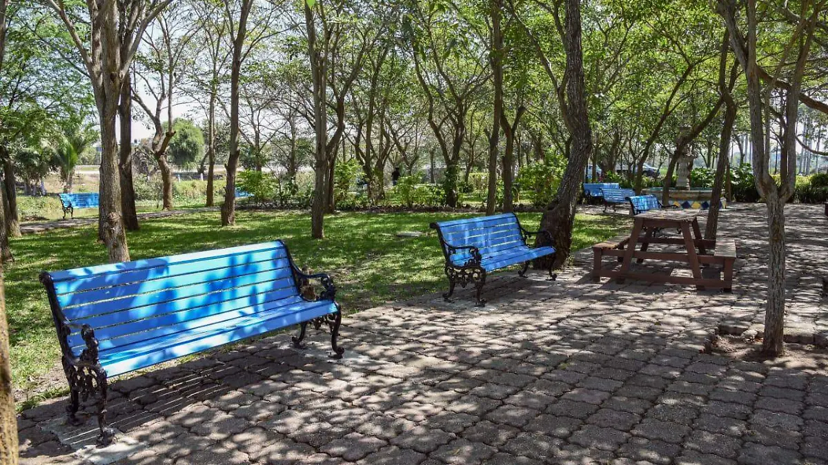 WhatsApp Image 2020-03-04 at 18.30.51