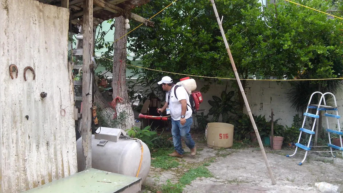 DENGUE.OKjpg