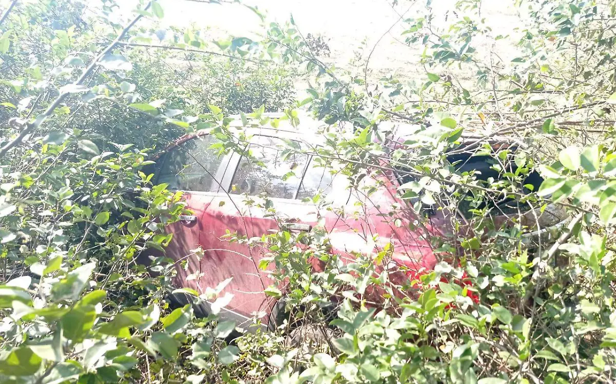 WhatsApp Image 2021-03-11 at 12.35.53 PM