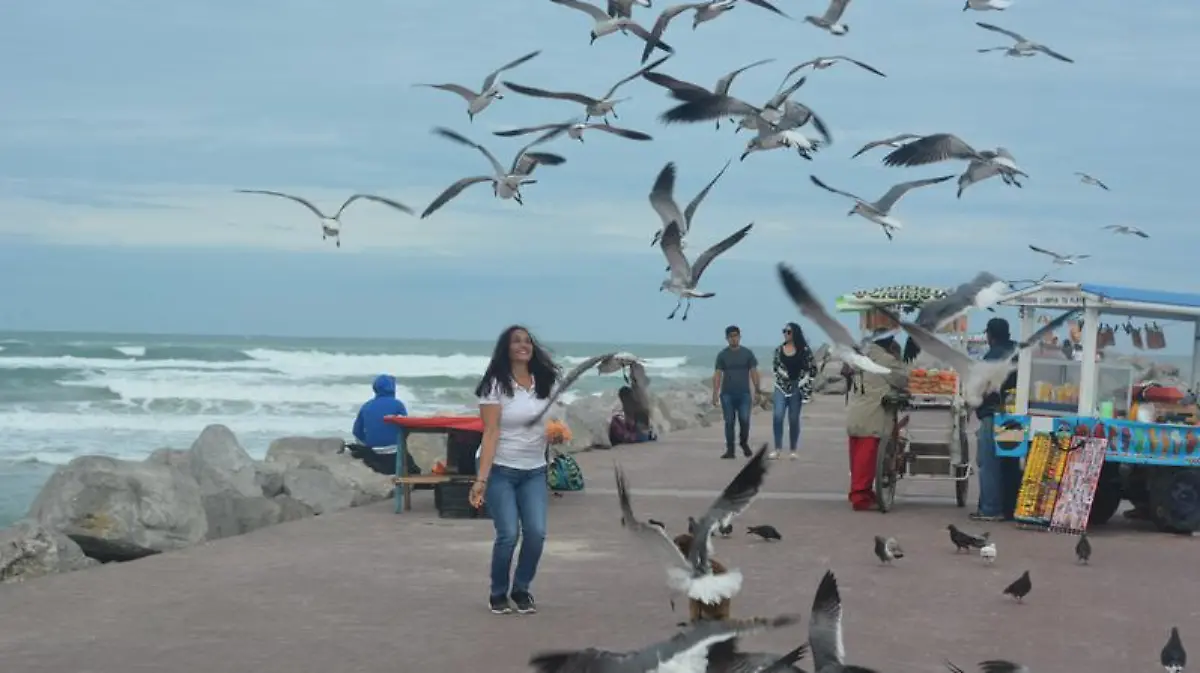 Captura de Pantalla 2020-01-17 a la(s) 23.43.34