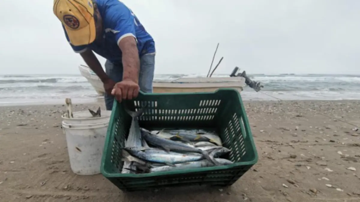 Captura de Pantalla 2021-02-14 a la(s) 22.31.22