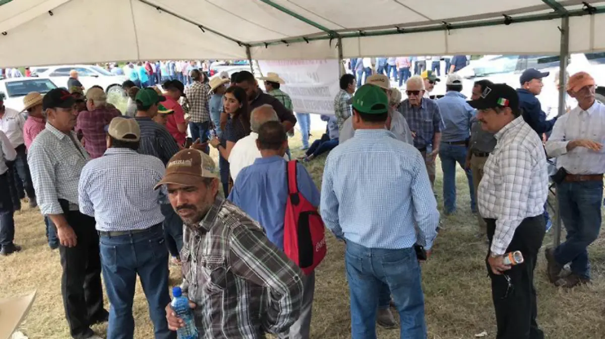 Captura de Pantalla 2019-07-18 a la(s) 10.58.57