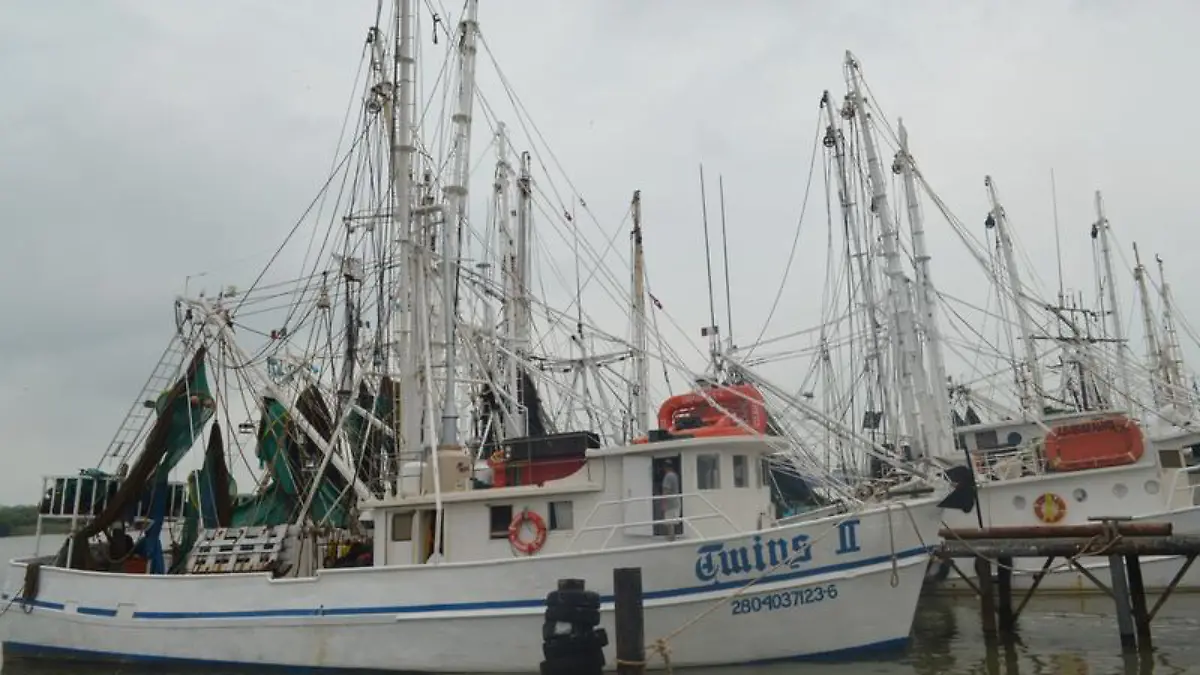 Captura de pantalla 2018-12-26 a la(s) 8.21.55 p.m.