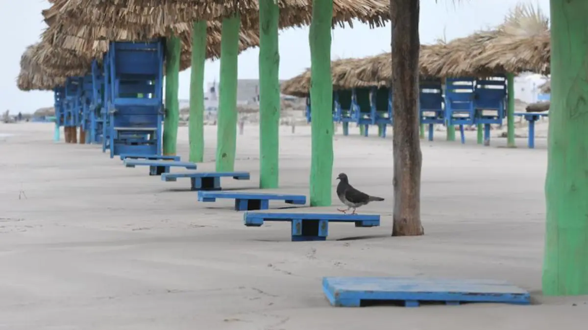 Captura de Pantalla 2019-07-04 a la(s) 13.05.04