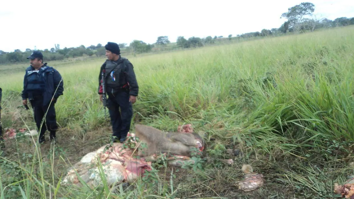 Image 2019-12-02 at 17.43.13