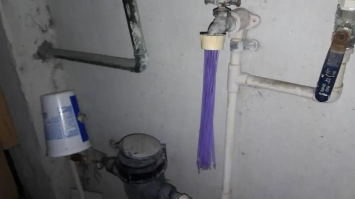 Captura de Pantalla 2019-06-25 a la(s) 10.06.17