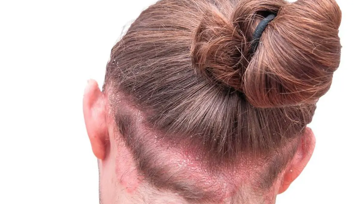 Captura de Pantalla 2020-02-16 a la(s) 21.08.59