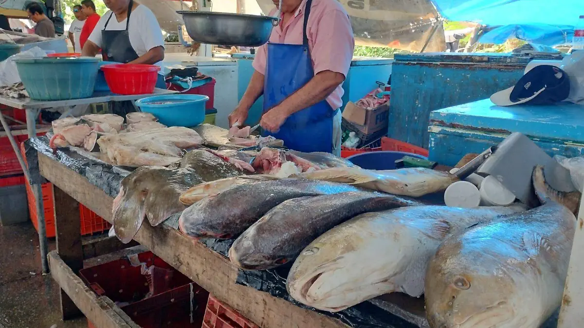 Se oferta poca variedad  de pescados en los mercados