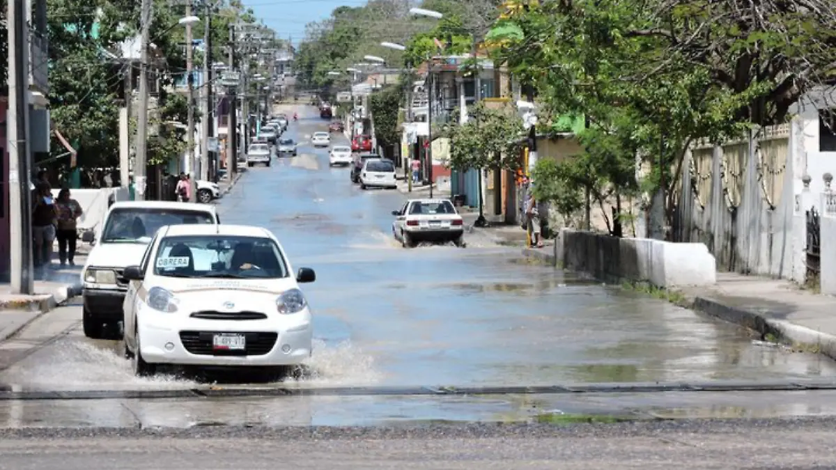 Captura de pantalla 2019-06-05 a las 3.05.40 p.m.