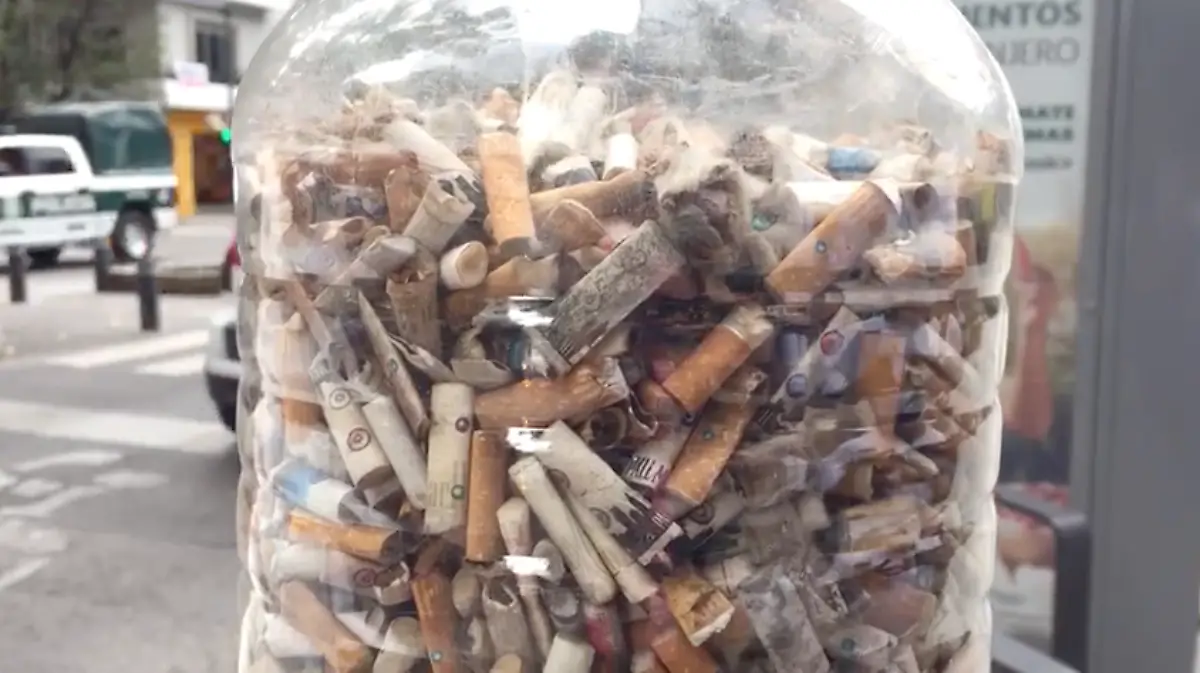 Captura de Pantalla 2019-08-10 a la(s) 16.35.49