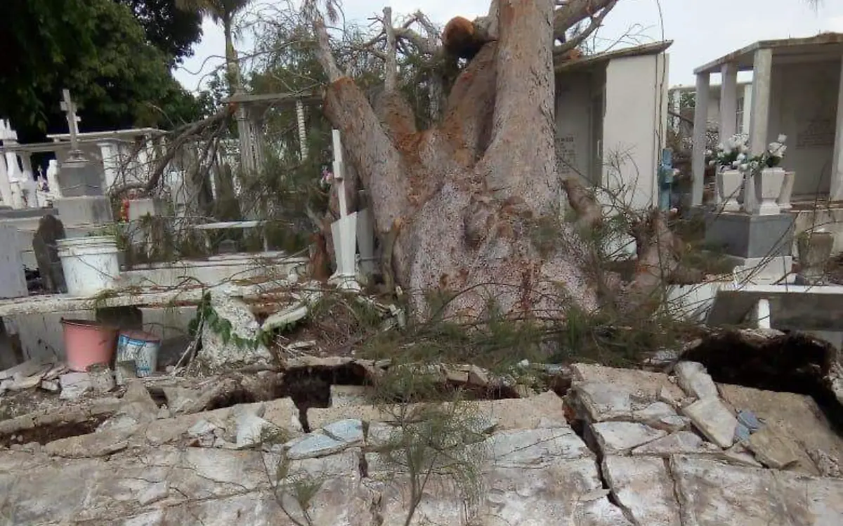 Image 2020-06-28 at 14.28.57 (1)