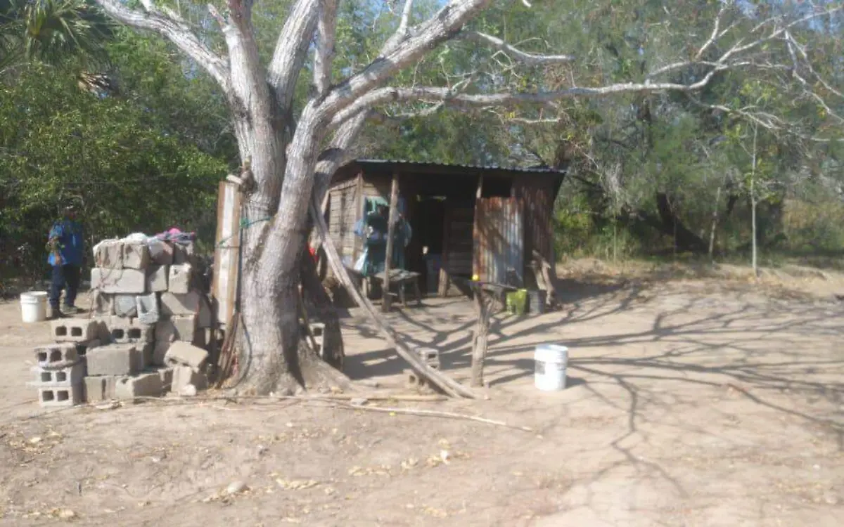 WhatsApp Image 2020-11-08 at 16.15.48