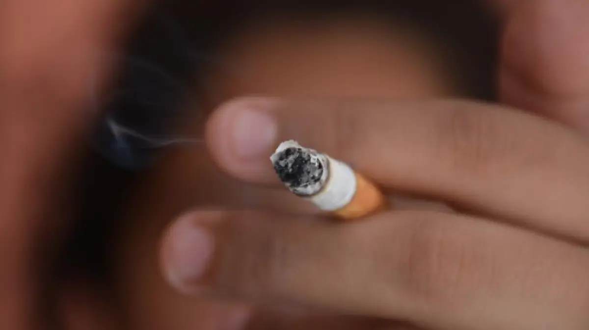 Captura de Pantalla 2019-05-30 a la(s) 12.52.41