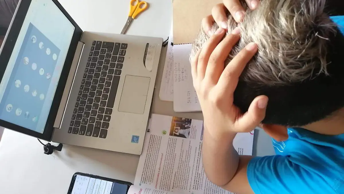 Denunciar maestros por abuso 