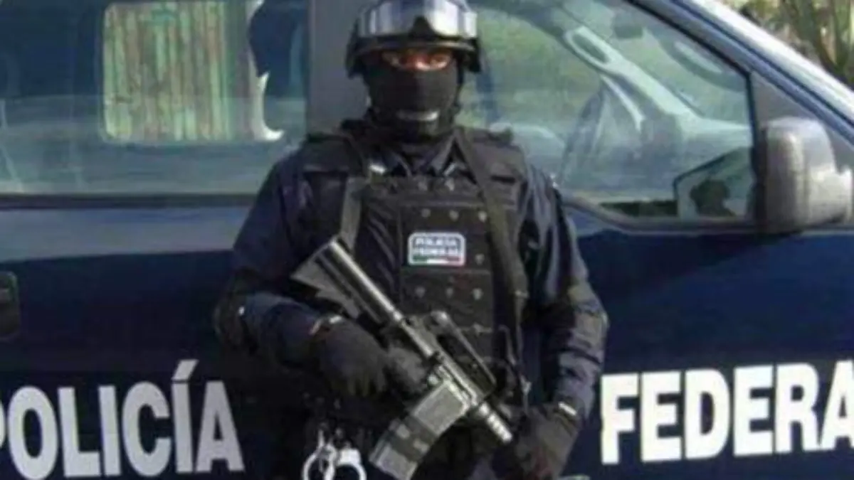 policiafederal-focus-0-0-480-345