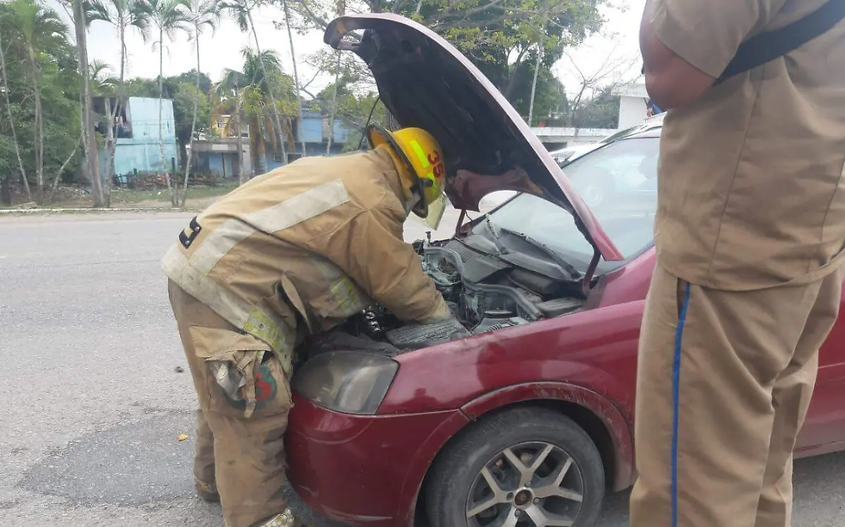 WhatsApp Image 2021-02-12 at 4.45.53 PM