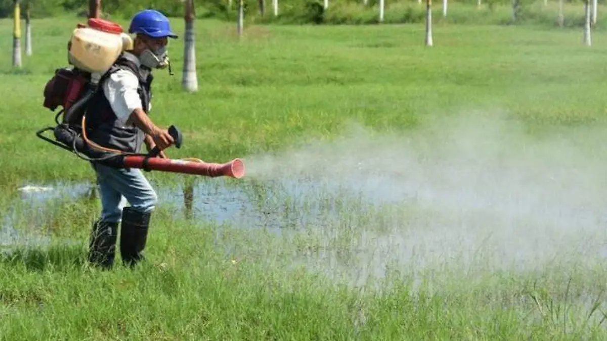 WhatsApp Image 2020-08-30 at 16.07.54