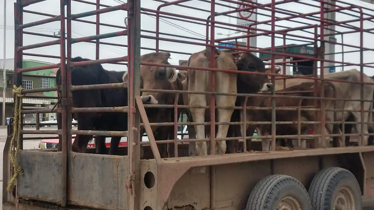 WhatsApp Image 2020-09-13 at 16.05.33