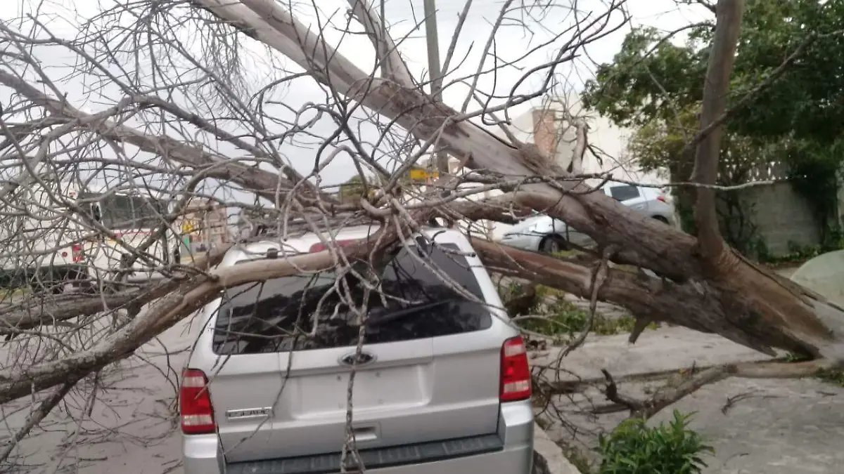 Image 2020-02-26 at 9.24.27 AM