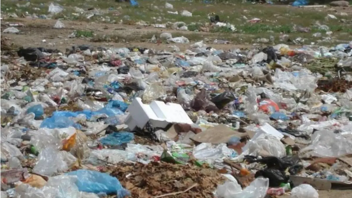 Captura de pantalla 2018-09-12 a la(s) 8.41.26 p.m.