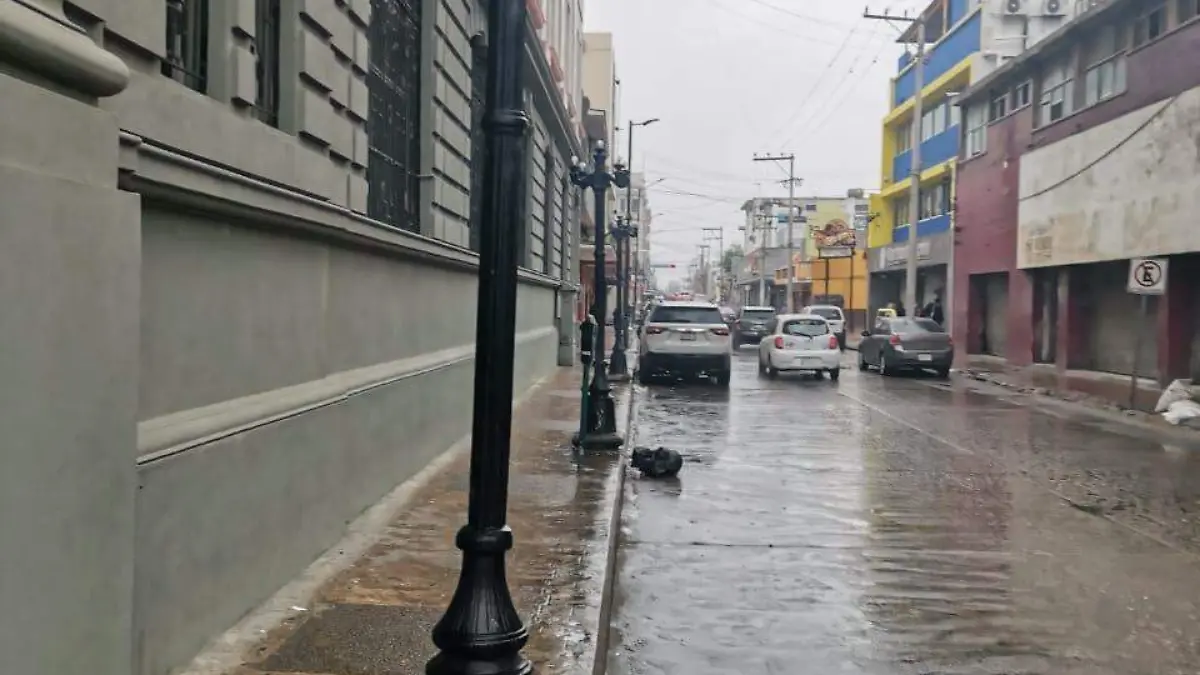 Image 2021-01-10 at 12.18.23 (1)