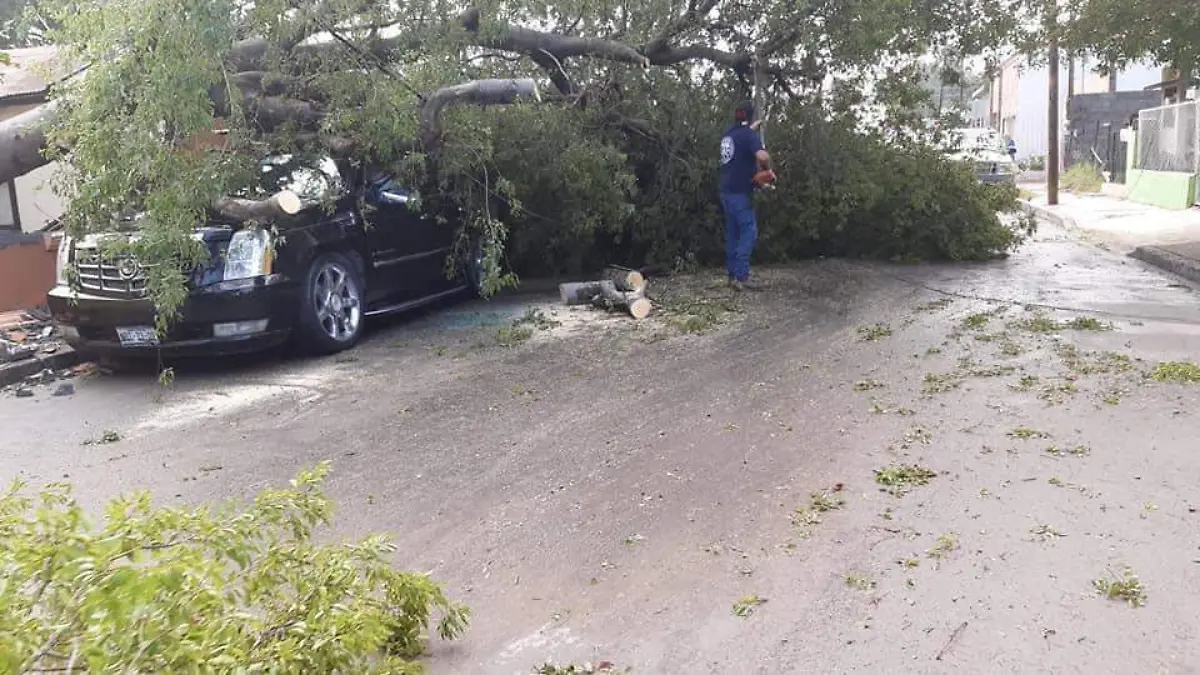 WhatsApp Image 2020-05-21 at 20.09.30