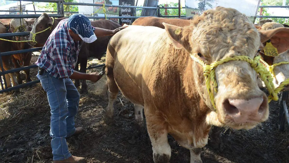 WhatsApp Image 2018-07-10 at 4.18.42 PM