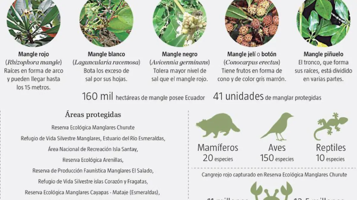 Captura de pantalla 2019-07-25 a la(s) 22.25.04