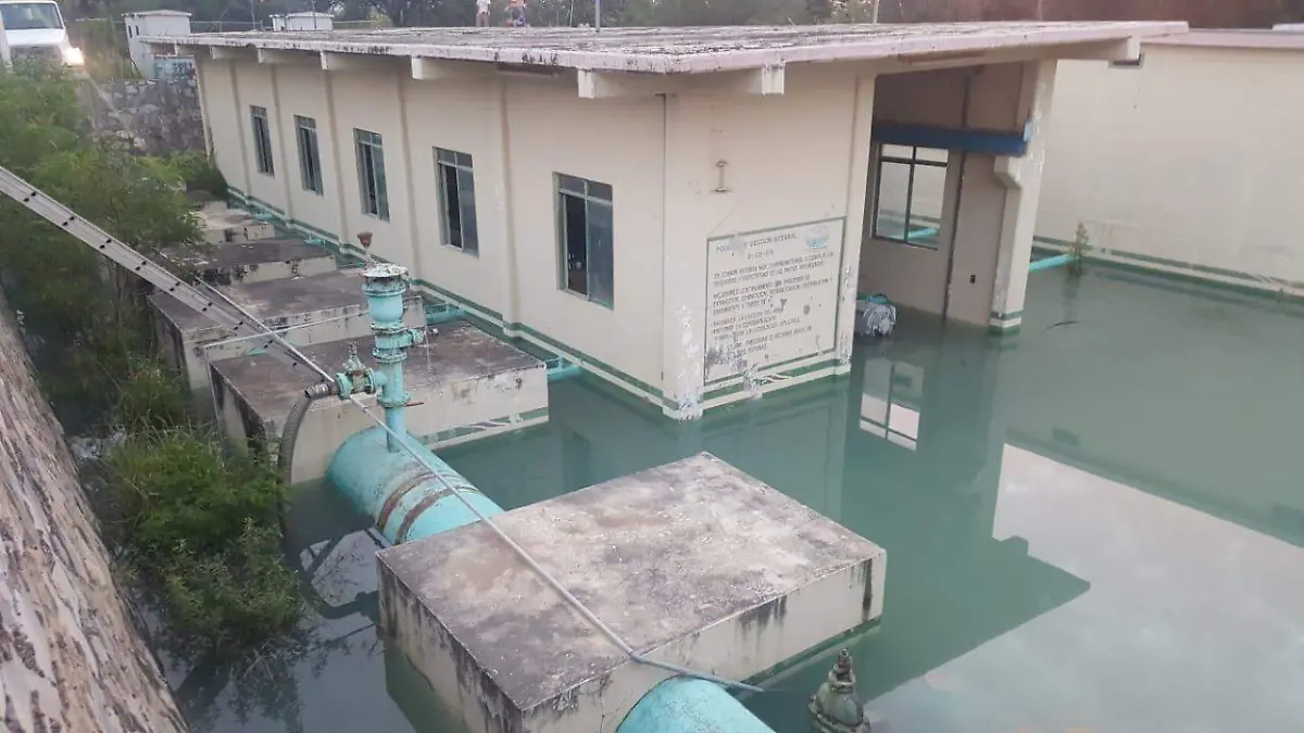 WhatsApp Image 2019-06-24 at 9.03.57 AM