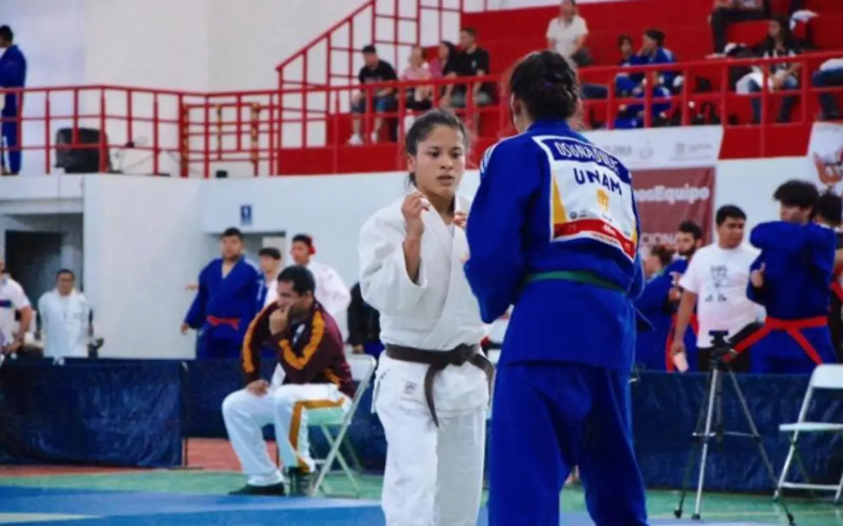 Captura de pantalla 2021-02-18 a la(s) 22.51.53