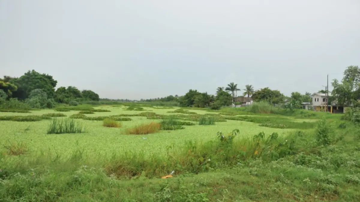 Captura de pantalla 2019-02-23 a la(s) 12.21.19