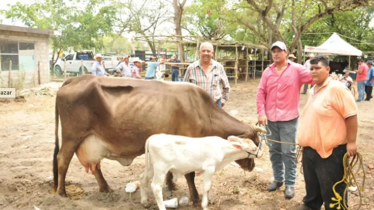 Captura de Pantalla 2019-06-01 a la(s) 9.03.55