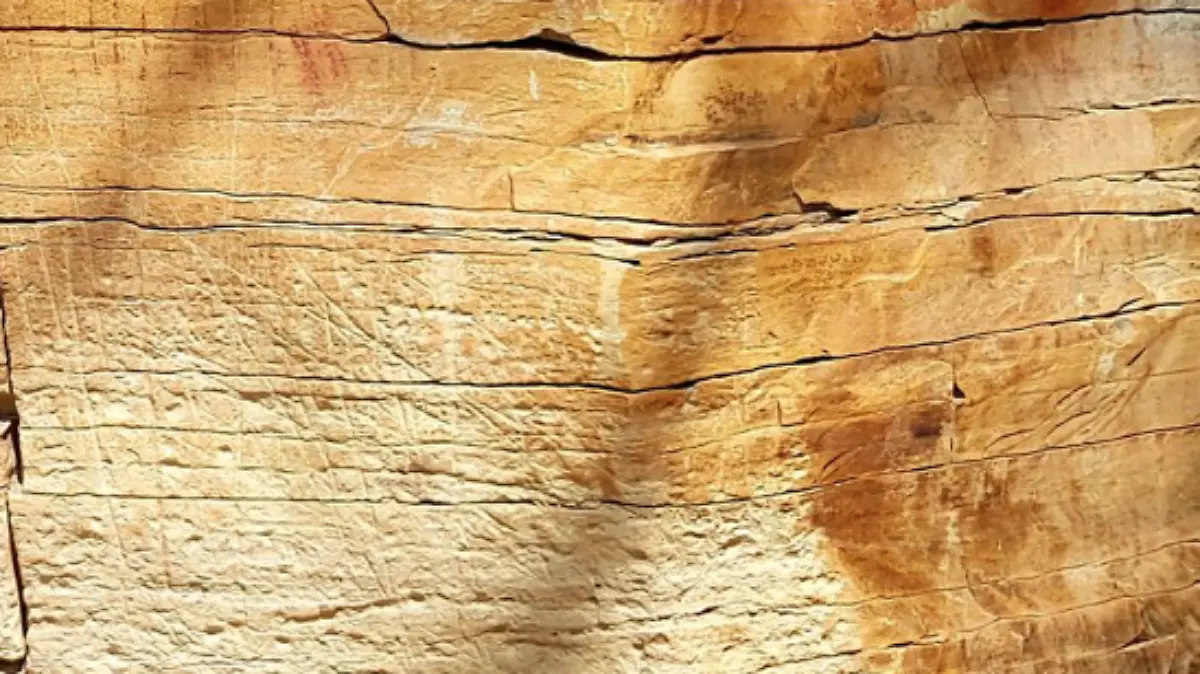 Captura de pantalla 2019-08-29 a la(s) 21.19.51