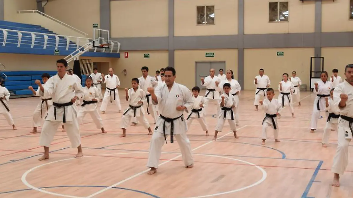 karate1