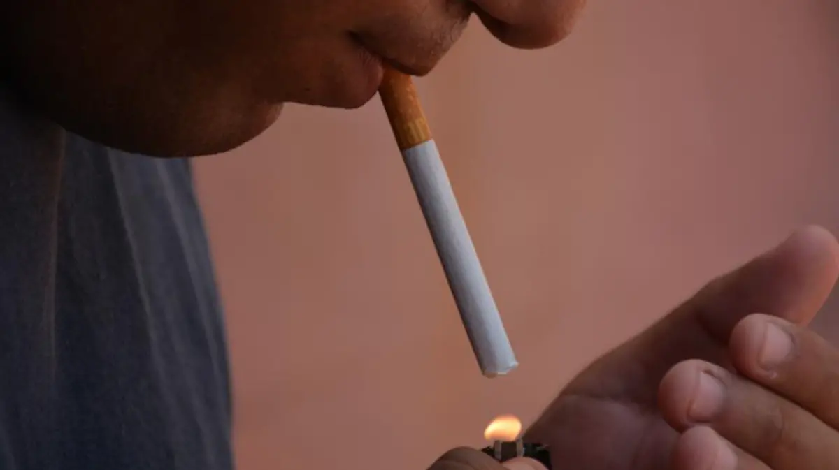 Captura de Pantalla 2019-05-30 a la(s) 12.52.33