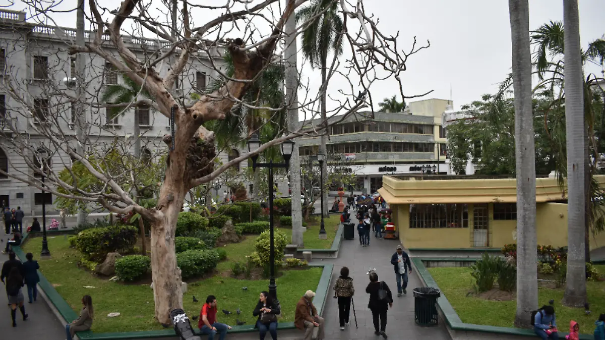 Captura de Pantalla 2020-01-05 a la(s) 15.07.49