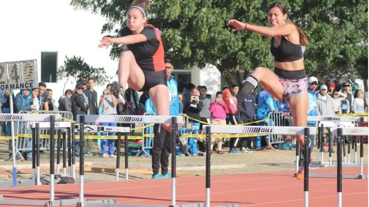 Captura de Pantalla 2020-02-27 a la(s) 19.55.01