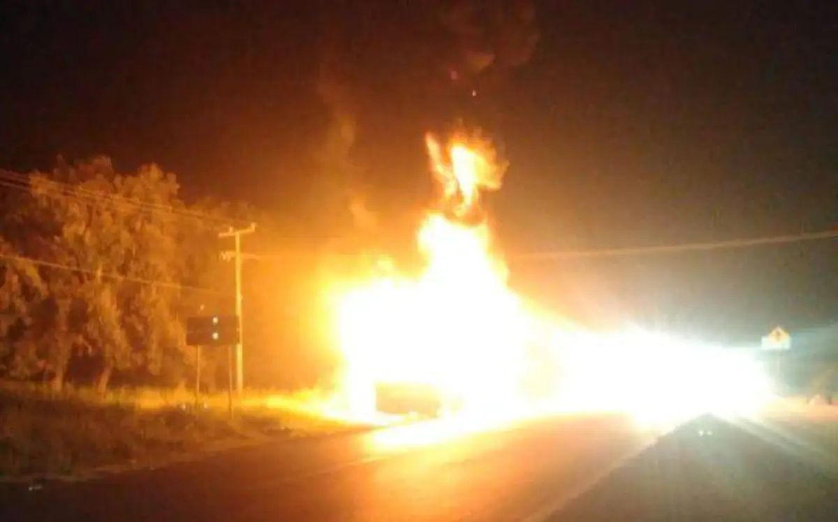 WhatsApp Image 2020-08-16 at 19.31.31