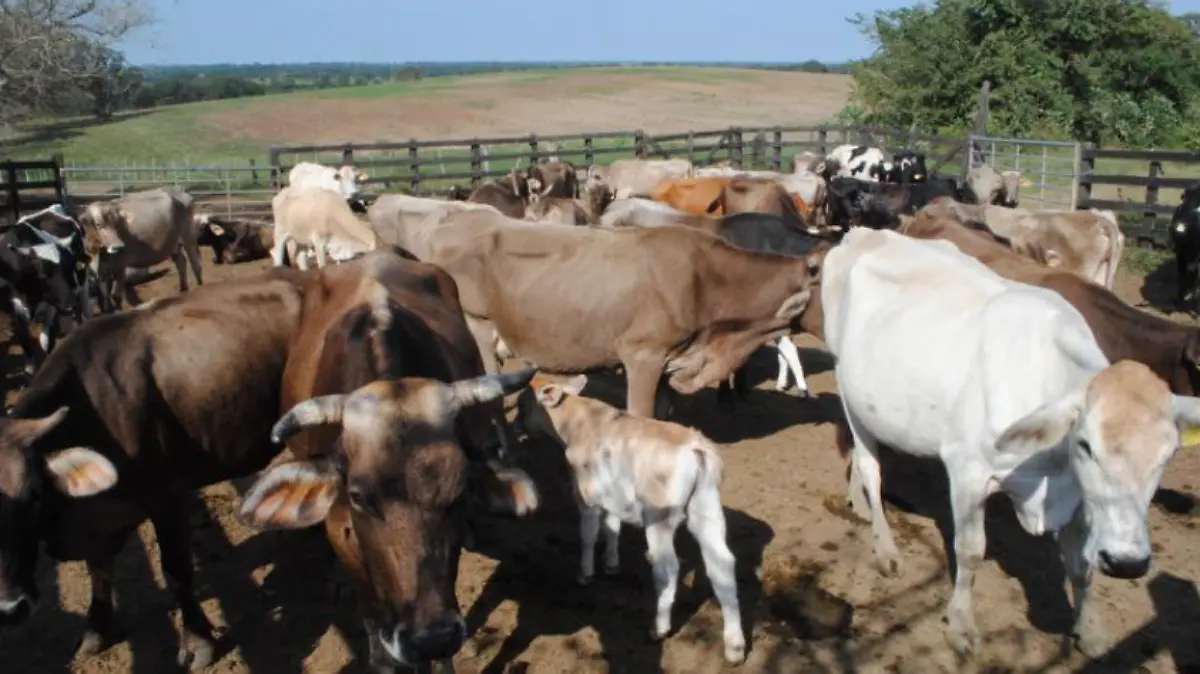 Captura de Pantalla 2019-10-14 a la(s) 13.45.53