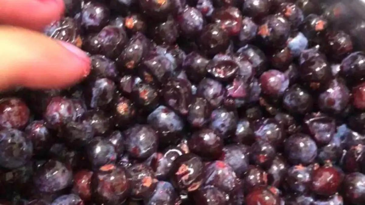 Image 2020-07-07 at 16.16.29