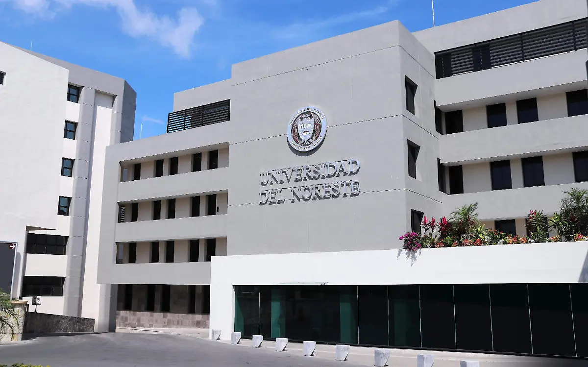 Las universidades