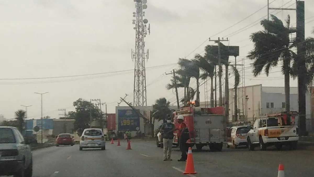 Image 2020-05-16 at 8.13.05 PM