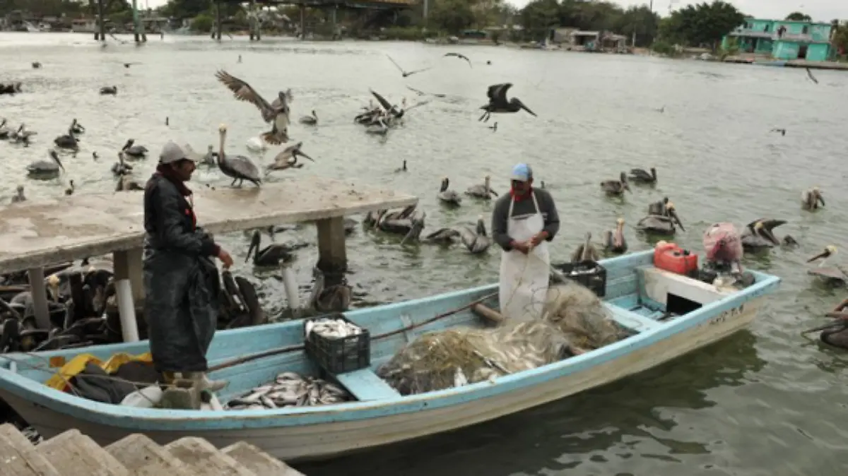 Captura de Pantalla 2020-12-27 a la(s) 20.48.41